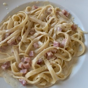 Pastas - Alfredo