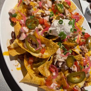 Nachos de pollo