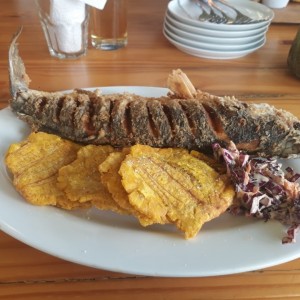 Pesca'o frito Veracruz