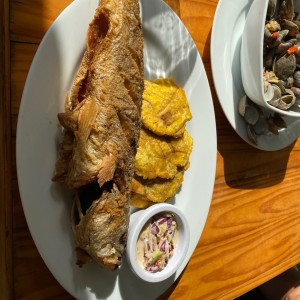 corvina frita entera