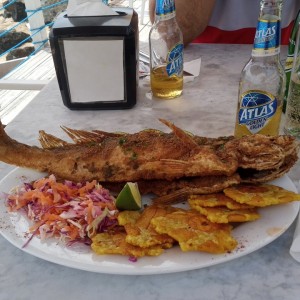 Pescado frito Panorama