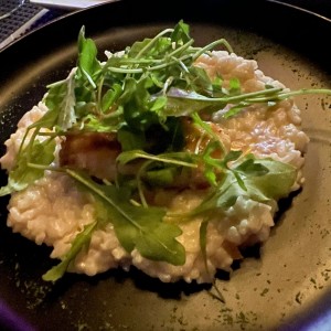 Corvin ato con risotto