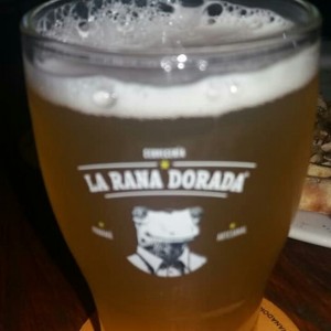 Cerveza artesanal