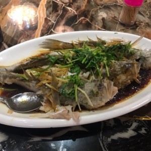 pescado al vapor con cebollina y gengibre