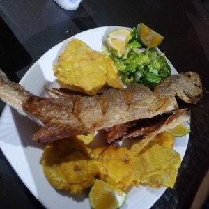 Pargo 15$ 