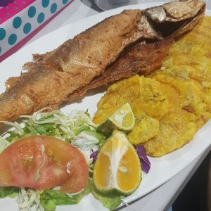 Corvina Apanada con Patacones