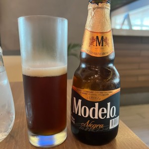 Modelo negra