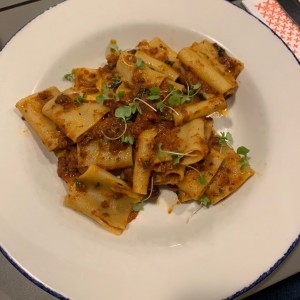 Pastas - Paccheri Alla Bolognesa