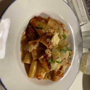 Pastas - Paccheri Alla Bolognesa