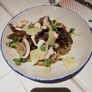 Risotto funghi