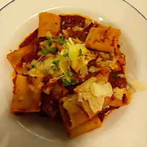 Pastas - Paccheri Alla Bolognesa