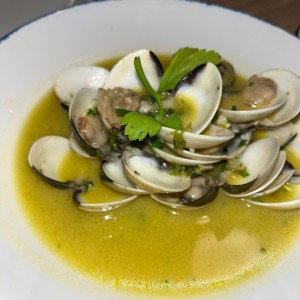 Vongole