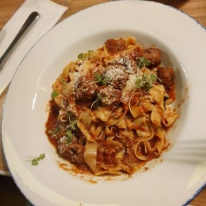 bolognesa