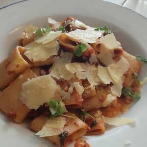 Pastas - Rigatoni Alla Norma