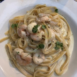 Fetucini con camarones al oleo con extra de salsa Alfredo 