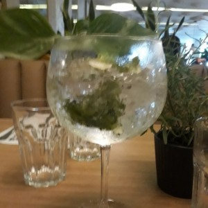 Gin Tonic con Albahaca