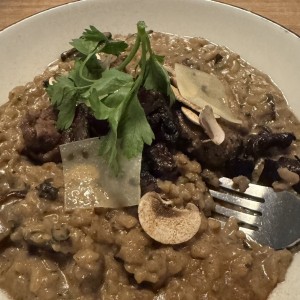 Risottos - Risotto Funghi