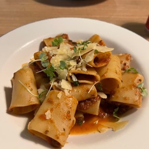 Pastas - Rigatoni Alla Norma