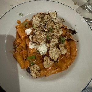 Pastas - Rigatoni Alla Norma