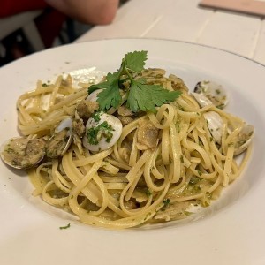 Pastas - Linguini Vongole