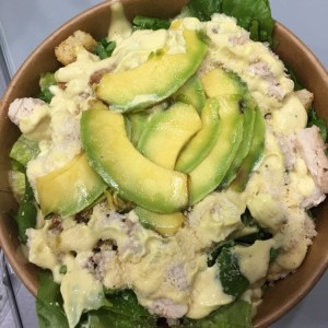 Avocaso Cesar