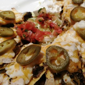 nachos mixtos de pollo y carne