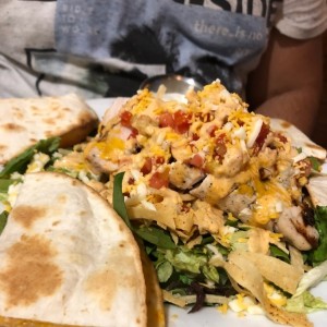 quesadilla salad