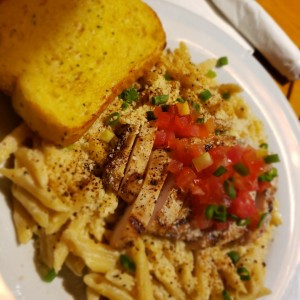 chicken alfredo pasta