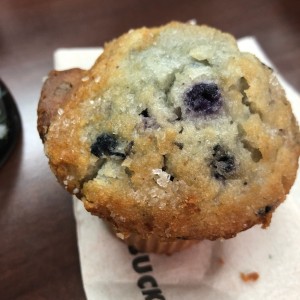 blue berry muffins