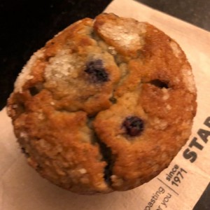 blueberry muffin