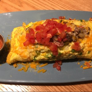 Big Steak Omelette