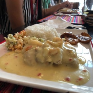 corvina con salsa blanca y camarones