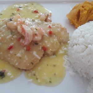 filete de corvina