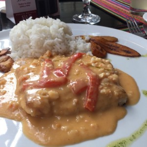 Corvina con salsa de langosta