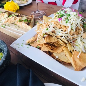 Nachos de Pollo y Quesadillas