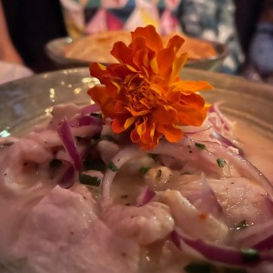 Para Compartir - Ceviche de Corvina