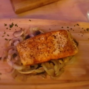 salmon