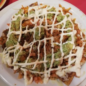 Nachos especiales mixtos