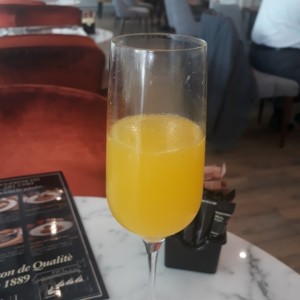 mimosa