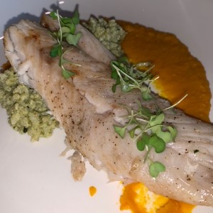 Corvina sobre risotto verde