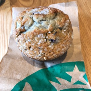 blueberry muffin