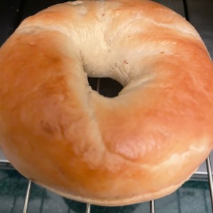 Savory - Bagel Plain