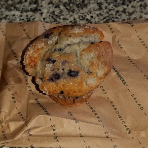 Blueberry Muffin