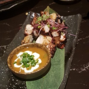 Pulpo