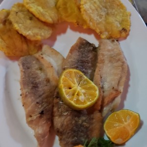 filete de corvina