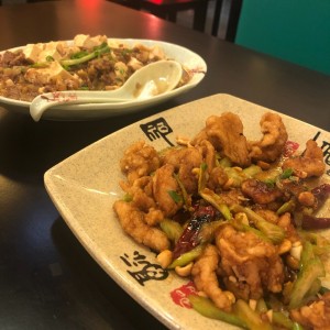 Pollo Kung Pao y Mappo Tofu con Carne