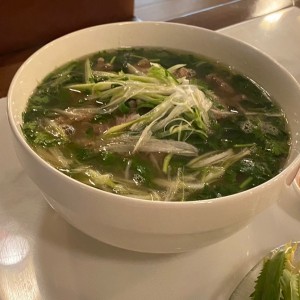 Sopa de Wanton con fideo