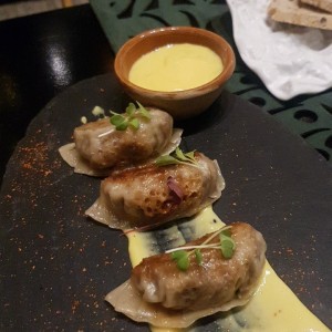 GYOZAS DE PATO CONFITADO