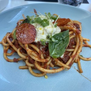 Pasta Amatriciana