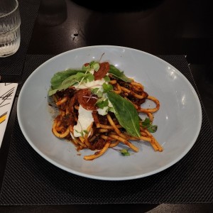 AMERICAN AMATRICIANA